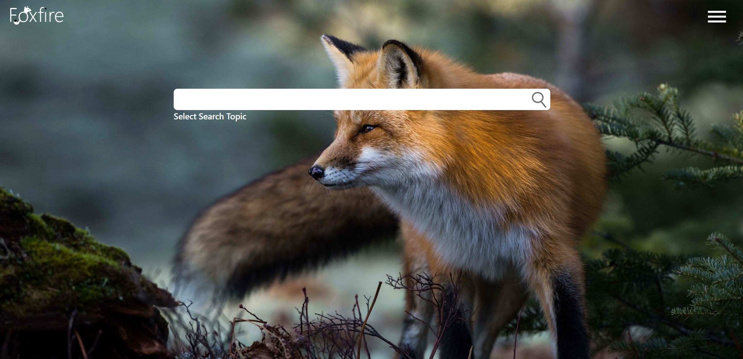 FoxFire Search Engine